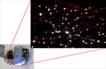 NanoSight delivers the world's most versatile and proven multi-parameter nanoparticle analysis in a single instrument now adds zeta potential 